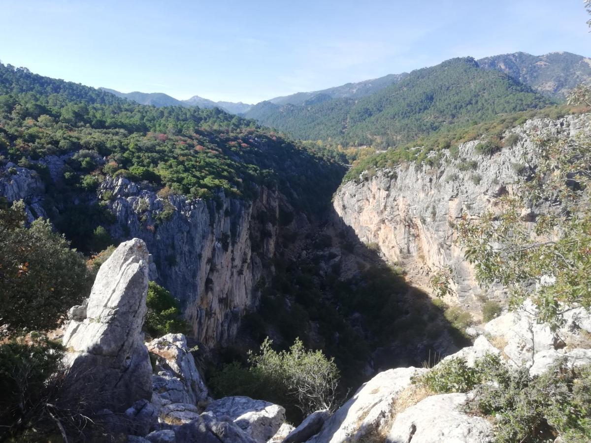 El Cobijo De Sierra Cazorla Piscina Privada Max 12 Personas Сasa de vacaciones