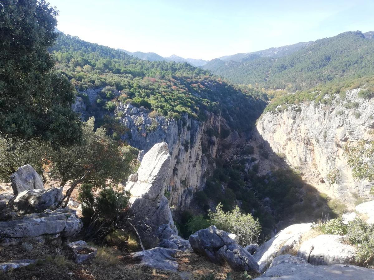 Сasa de vacaciones El Cobijo De Sierra Cazorla Piscina Privada Max 12 Personas Burunchel