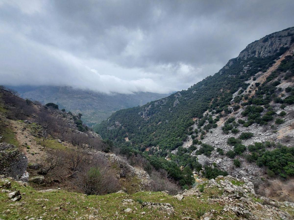 El Cobijo De Sierra Cazorla