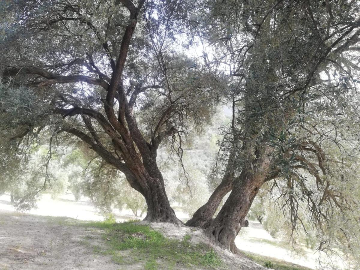 El Cobijo De Sierra Cazorla * Burunchel