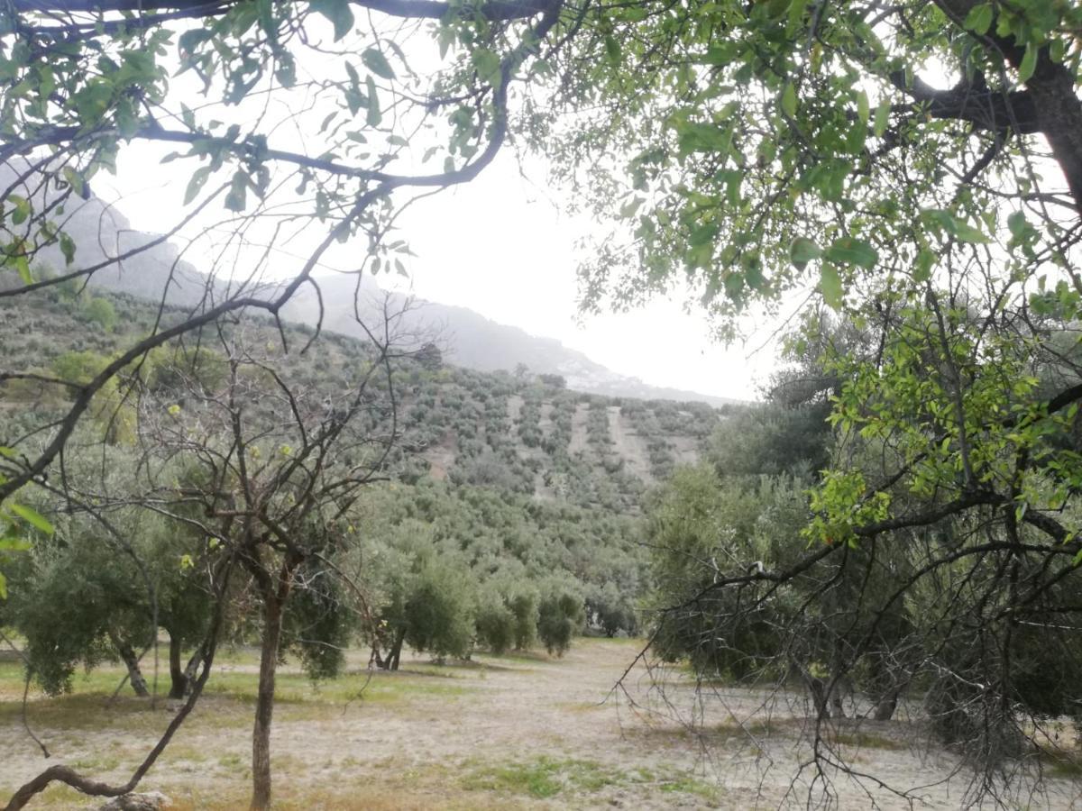 El Cobijo De Sierra Cazorla